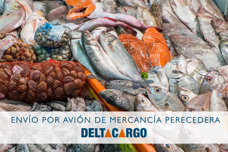 Cómo mantener el pescado fresco por más tiempo