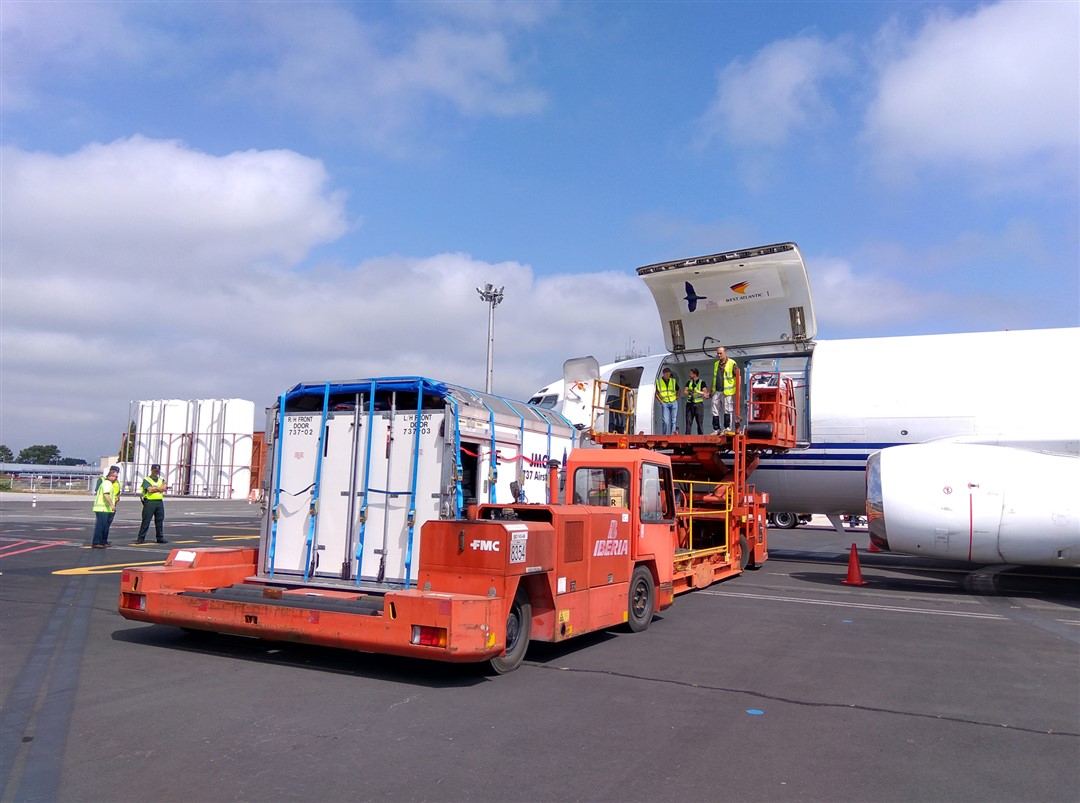 Transporte especial por avion caballos de carreras